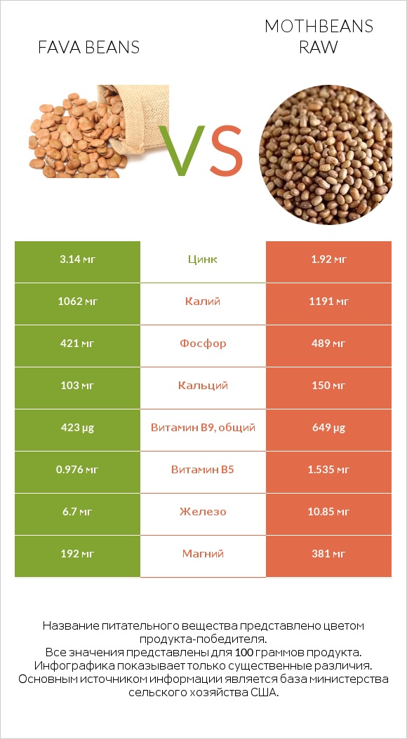 Fava beans vs Mothbeans raw infographic