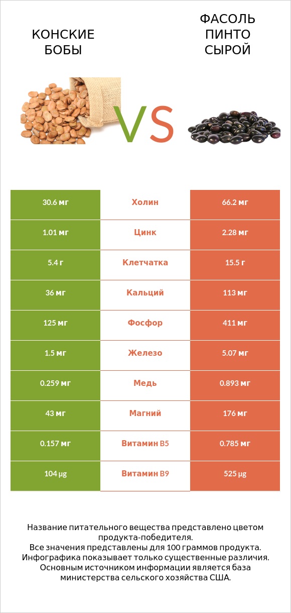Конские бобы vs Фасоль пинто сырой infographic