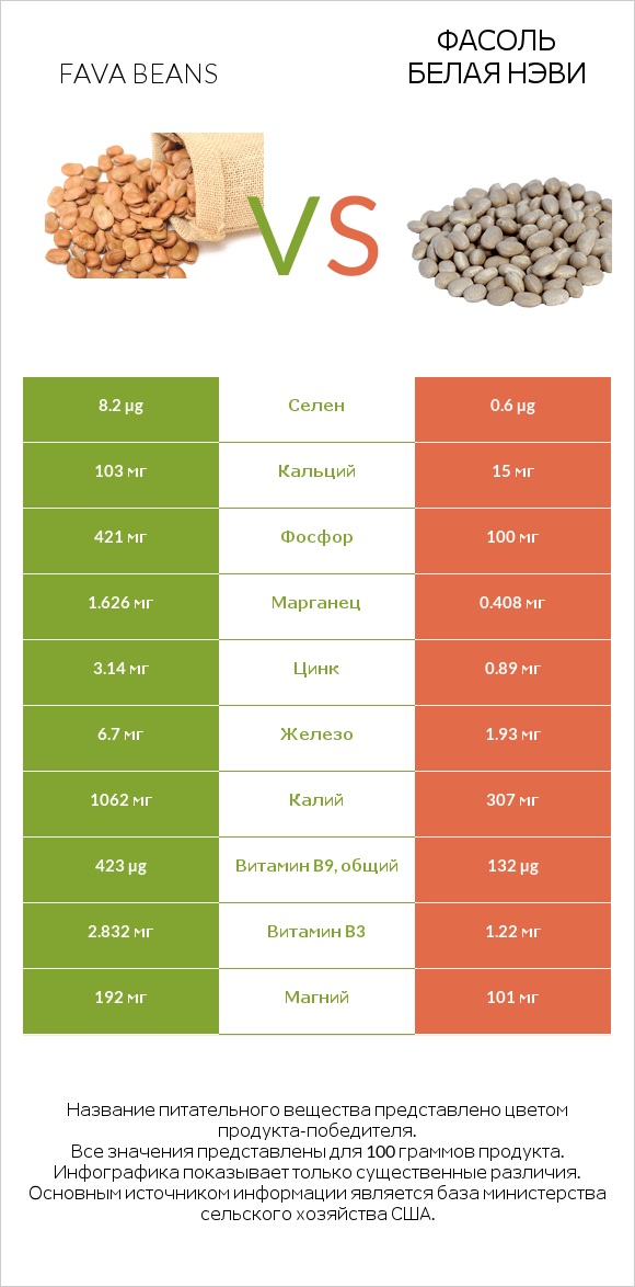 Fava beans vs Фасоль белая нэви infographic