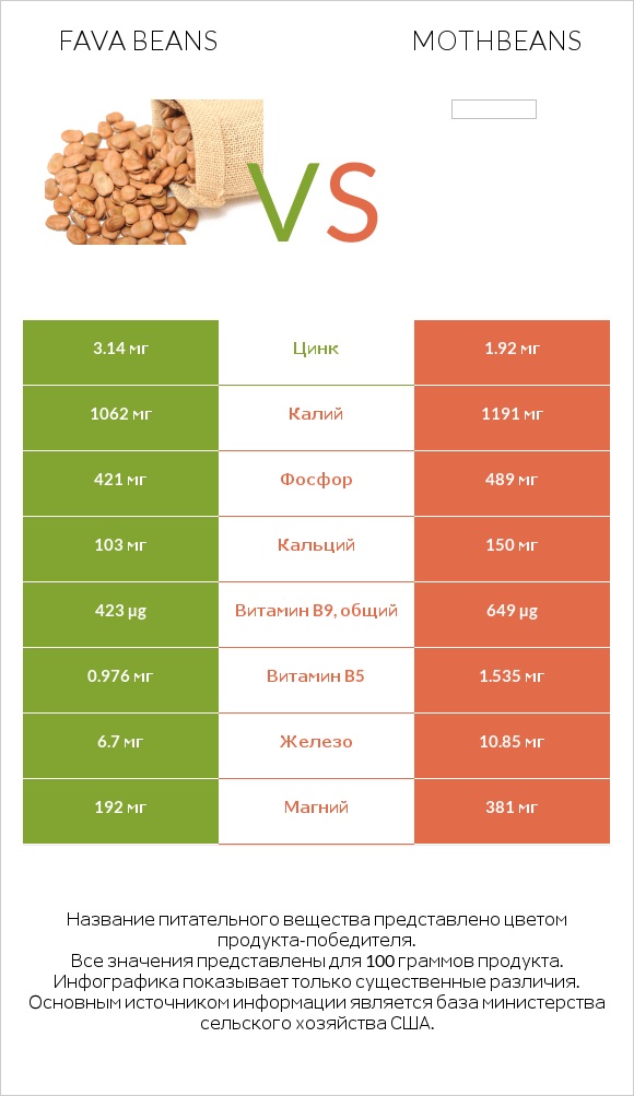 Fava beans vs Mothbeans infographic