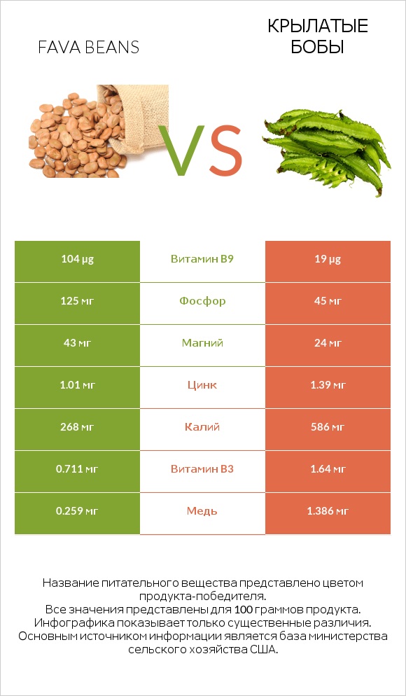 Конские бобы vs Крылатые бобы infographic