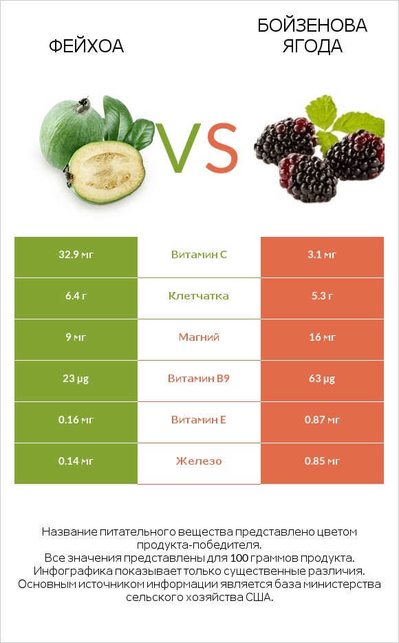 Фейхоа vs Бойзенова ягода infographic