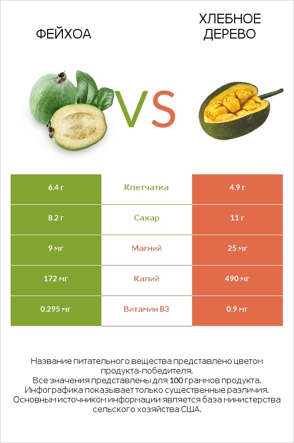 Фейхоа vs Хлебное дерево infographic