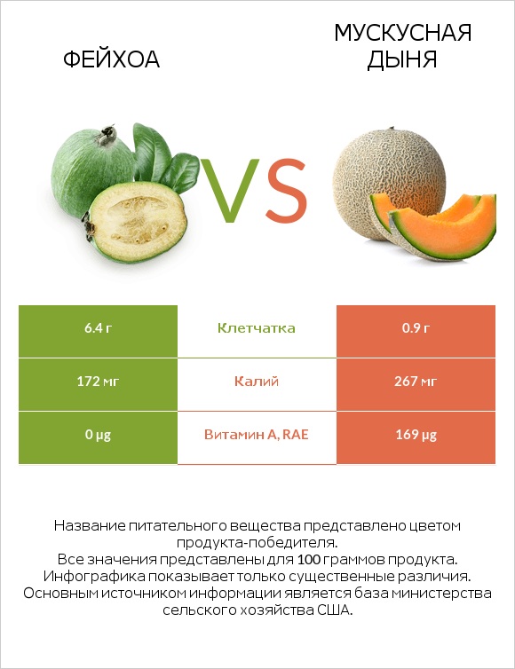 Фейхоа vs Мускусная дыня infographic