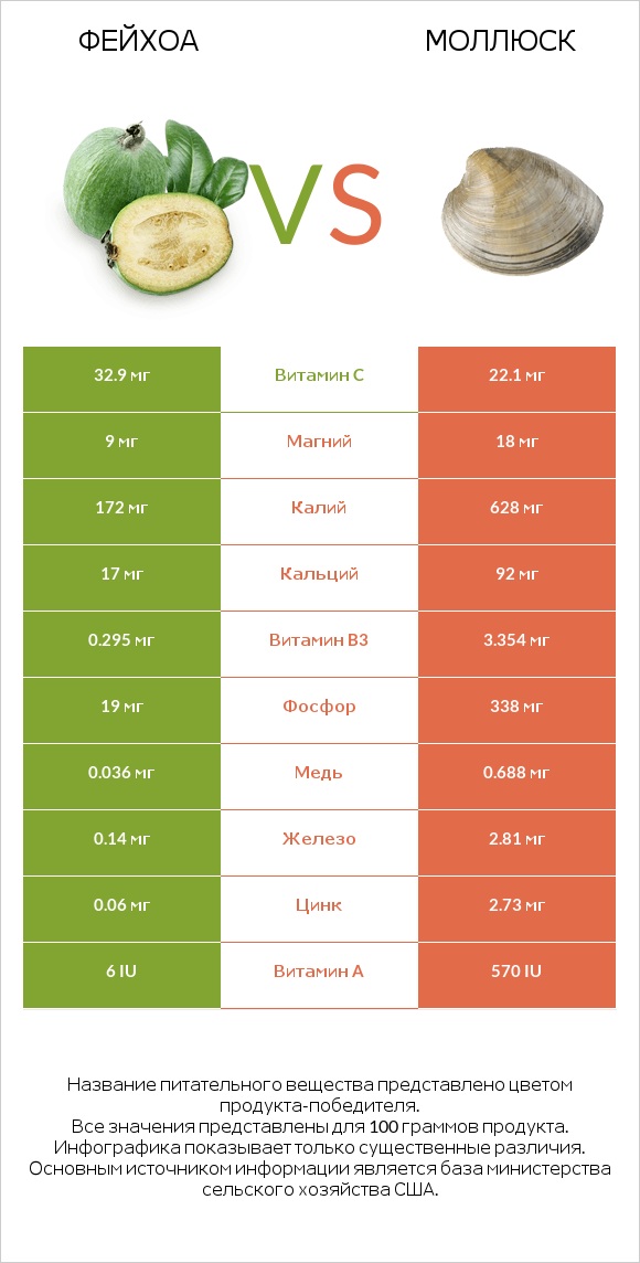 Фейхоа vs Моллюск infographic