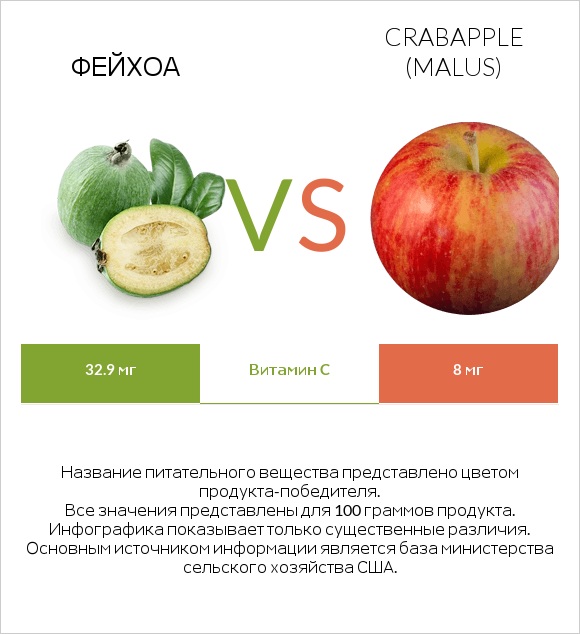 Фейхоа vs Crabapple (Malus) infographic