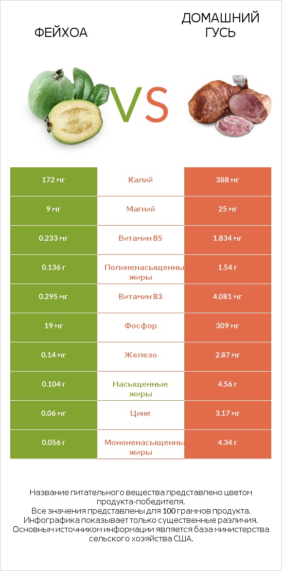 Фейхоа vs Домашний гусь infographic