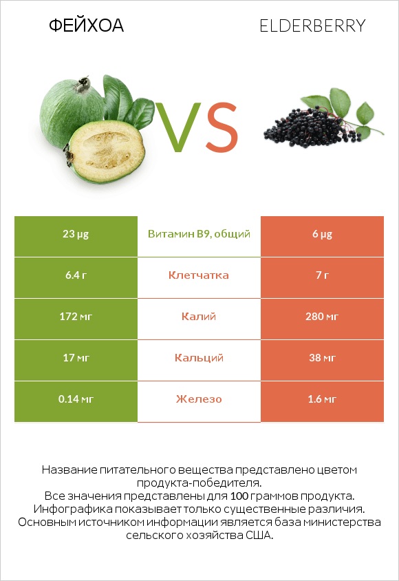 Фейхоа vs Elderberry infographic