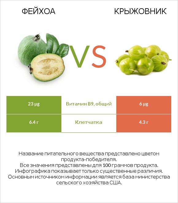 Фейхоа vs Крыжовник infographic