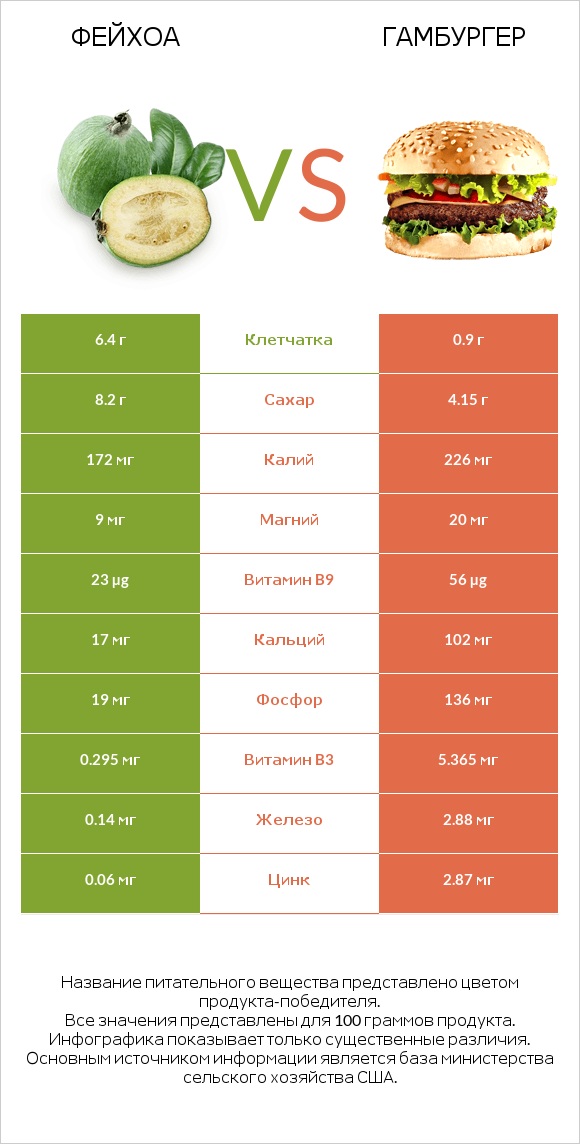 Фейхоа vs Гамбургер infographic