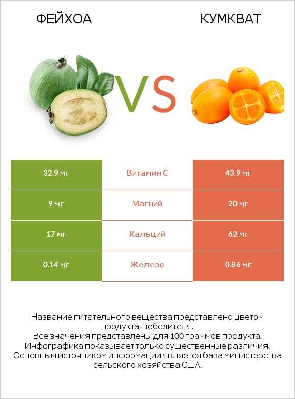 Фейхоа vs Кумкват infographic