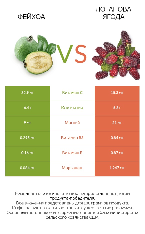 Фейхоа vs Логанова ягода infographic