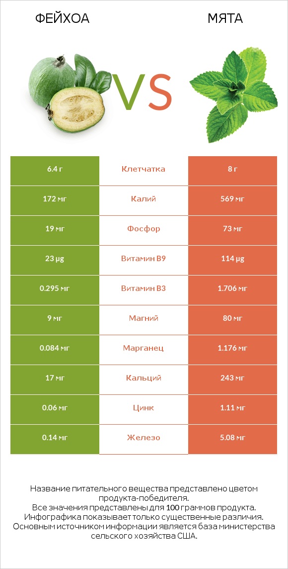 Фейхоа vs Мята infographic