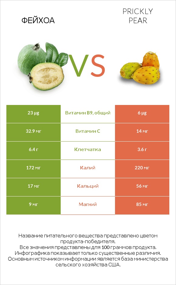 Фейхоа vs Prickly pear infographic