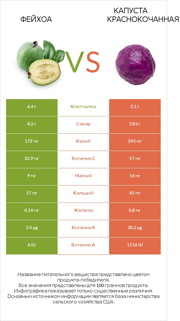 Фейхоа vs Капуста краснокочанная infographic