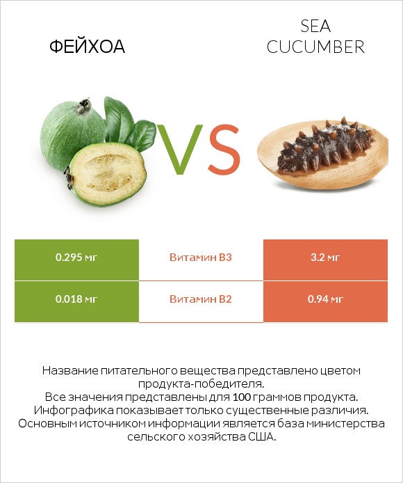 Фейхоа vs Sea cucumber infographic