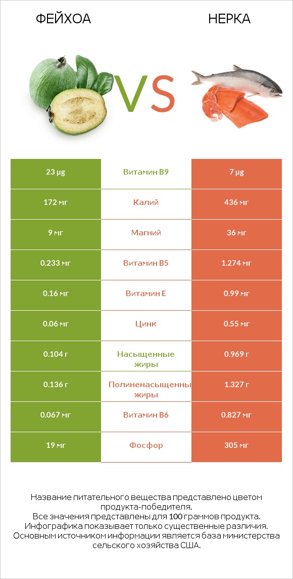 Фейхоа vs Нерка infographic