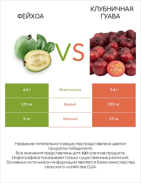 Фейхоа vs Клубничная гуава infographic