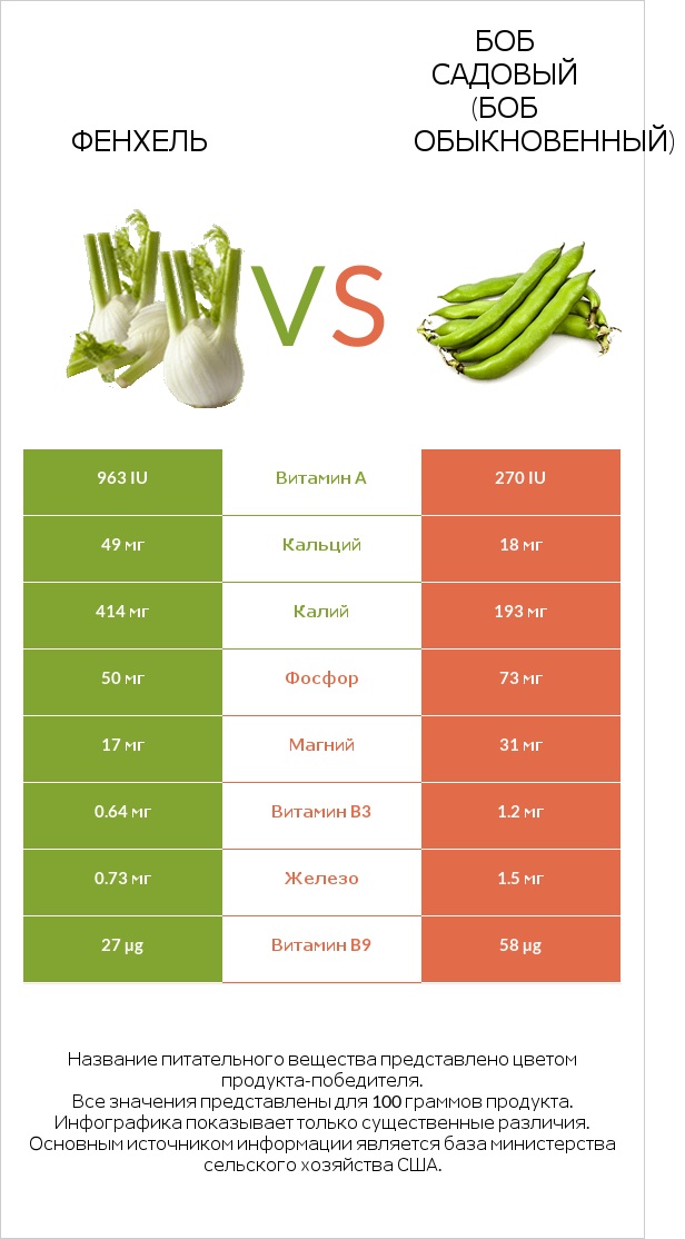 Фенхель vs Боб садовый (Боб обыкновенный) infographic