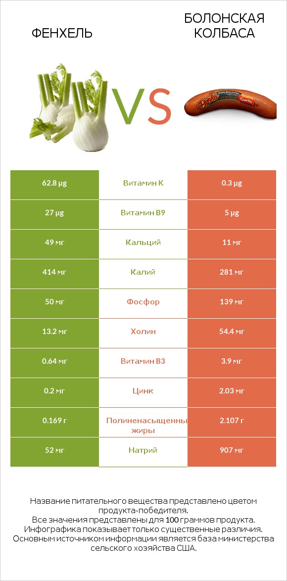 Фенхель vs Болонская колбаса infographic