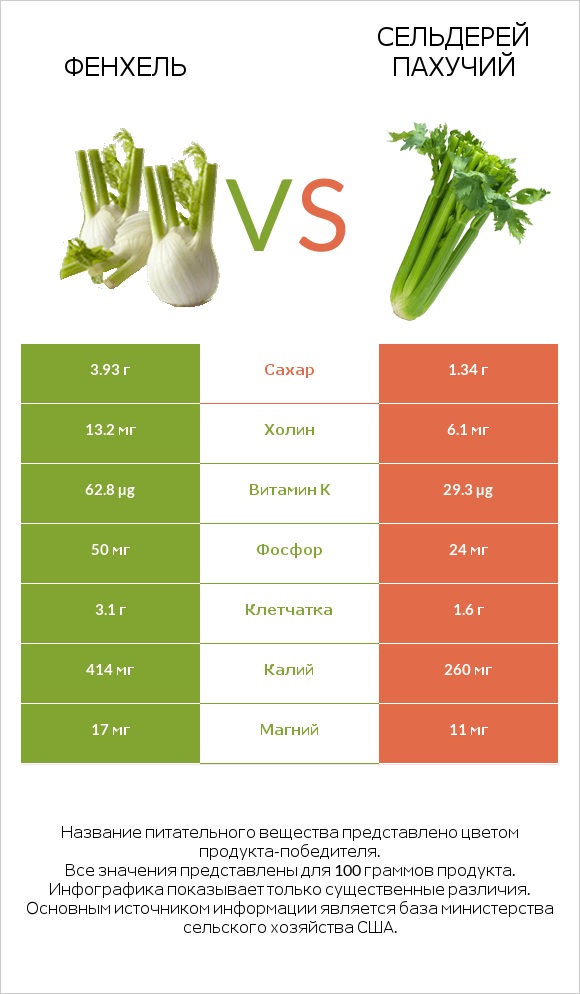 Фенхель vs Сельдерей пахучий infographic