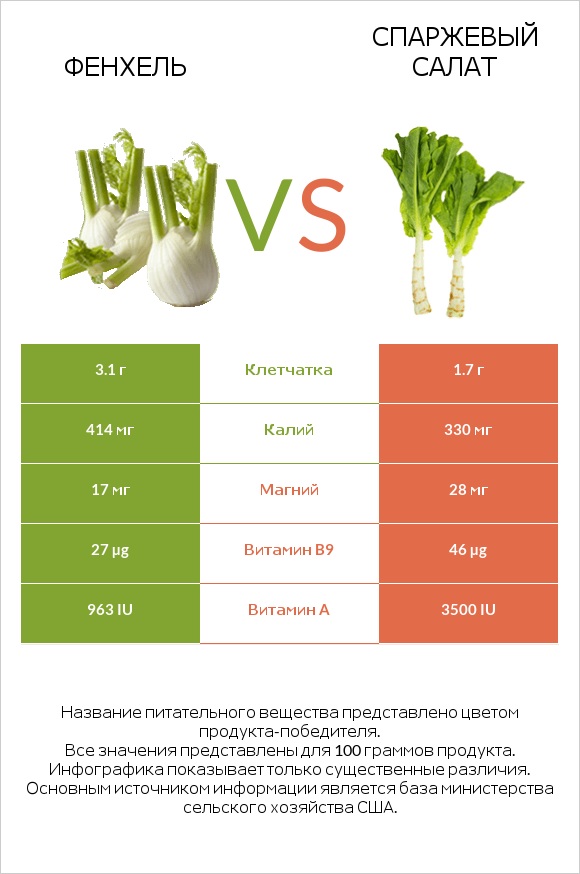 Фенхель vs Celtuce infographic