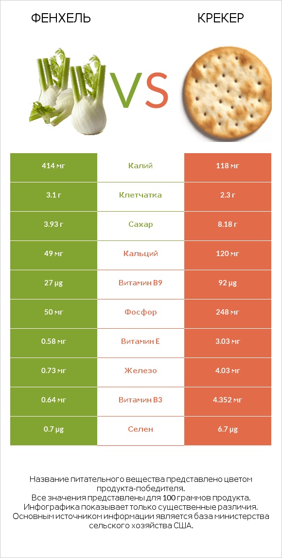 Фенхель vs Крекер infographic