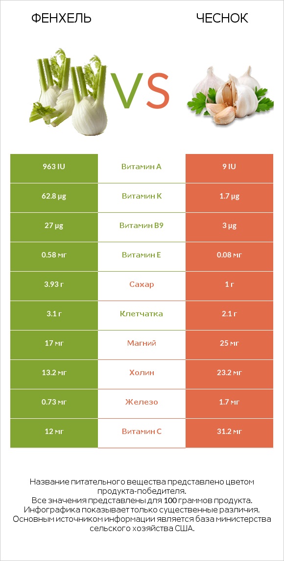 Фенхель vs Чеснок infographic