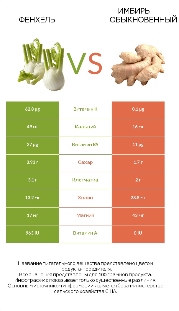 Фенхель vs Имбирь infographic