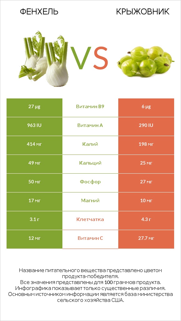 Фенхель vs Крыжовник infographic