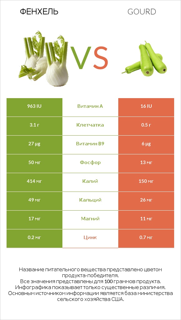 Фенхель vs Gourd infographic