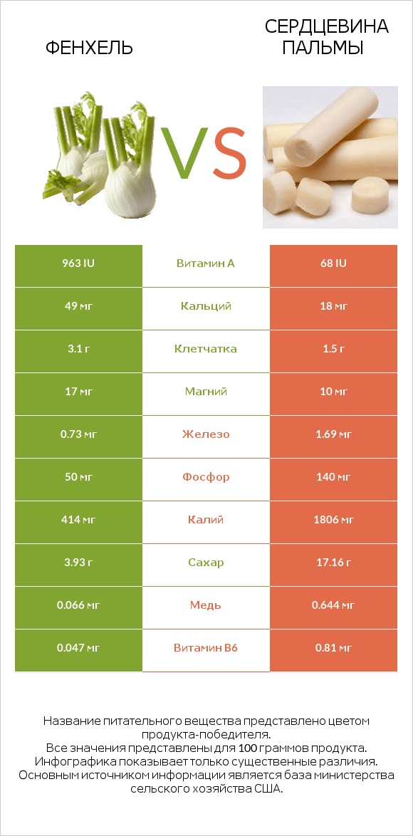Фенхель vs Сердцевина пальмы infographic