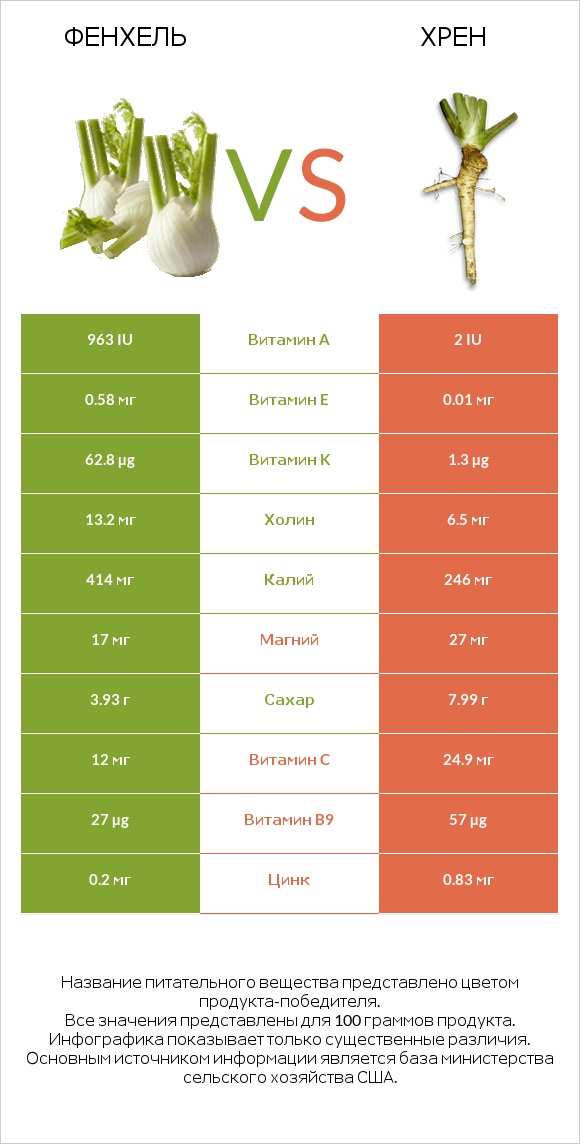 Фенхель vs Хрен infographic