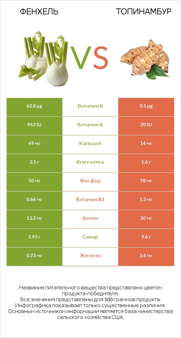 Фенхель vs Топинамбур infographic