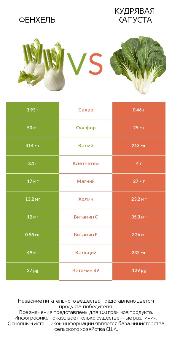 Фенхель vs Кудрявая капуста infographic