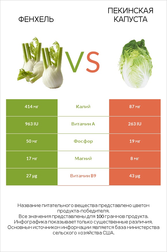 Фенхель vs Пекинская капуста infographic