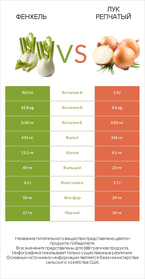 Фенхель vs Лук infographic