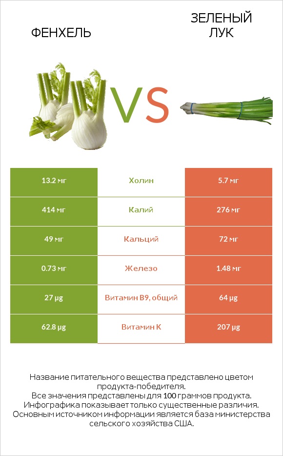 Фенхель vs Зеленый лук infographic