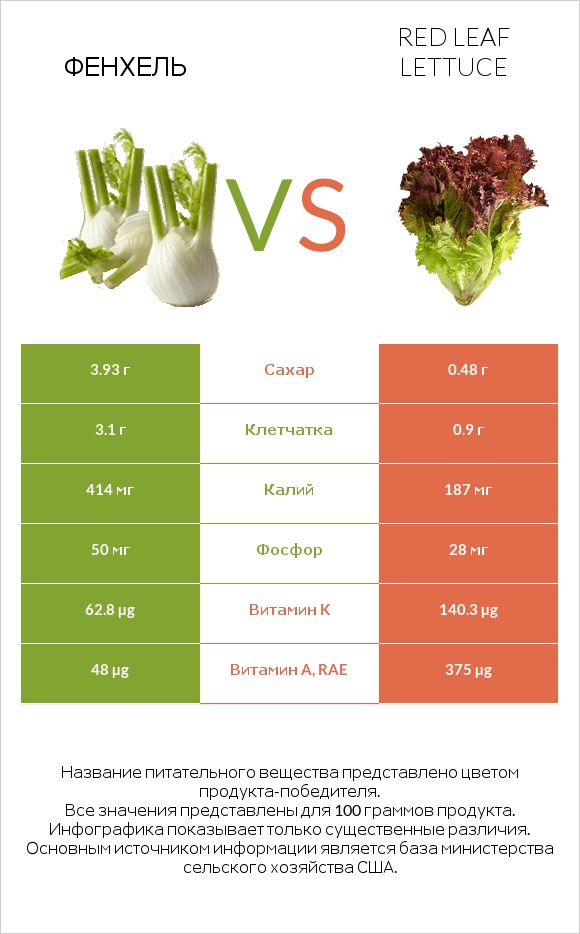 Фенхель vs Red leaf lettuce infographic