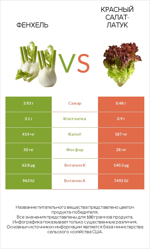 Фенхель vs Красный салат-латук  infographic