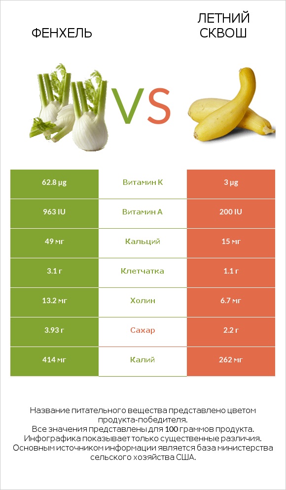 Фенхель vs Кабачок infographic