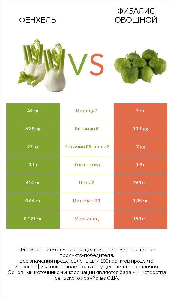 Фенхель vs Физалис овощной infographic