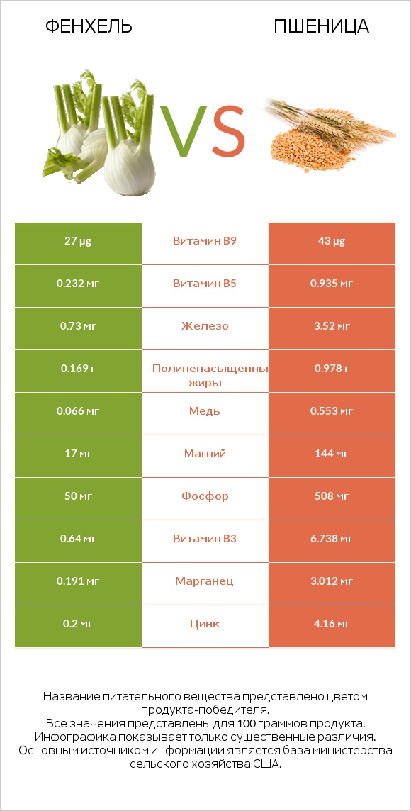Фенхель vs Пшеница infographic