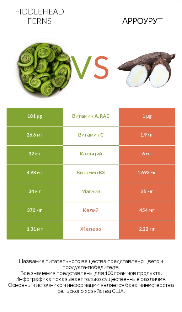 Fiddlehead ferns vs Арроурут infographic