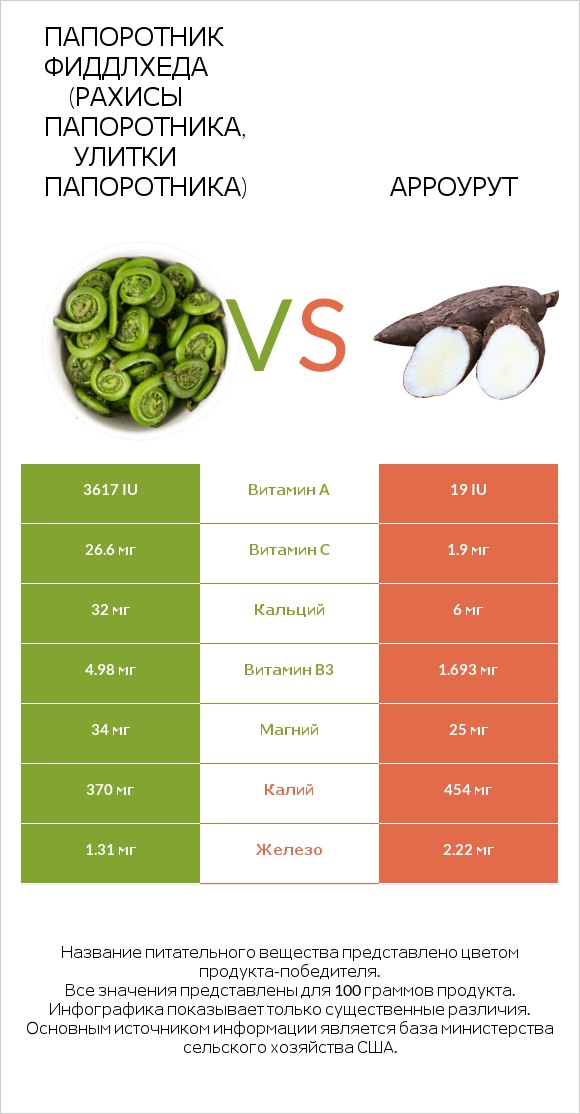 Папоротник Фиддлхеда (Рахисы папоротника, улитки папоротника) vs Арроурут infographic