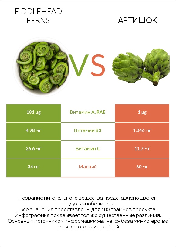 Fiddlehead ferns vs Артишок infographic