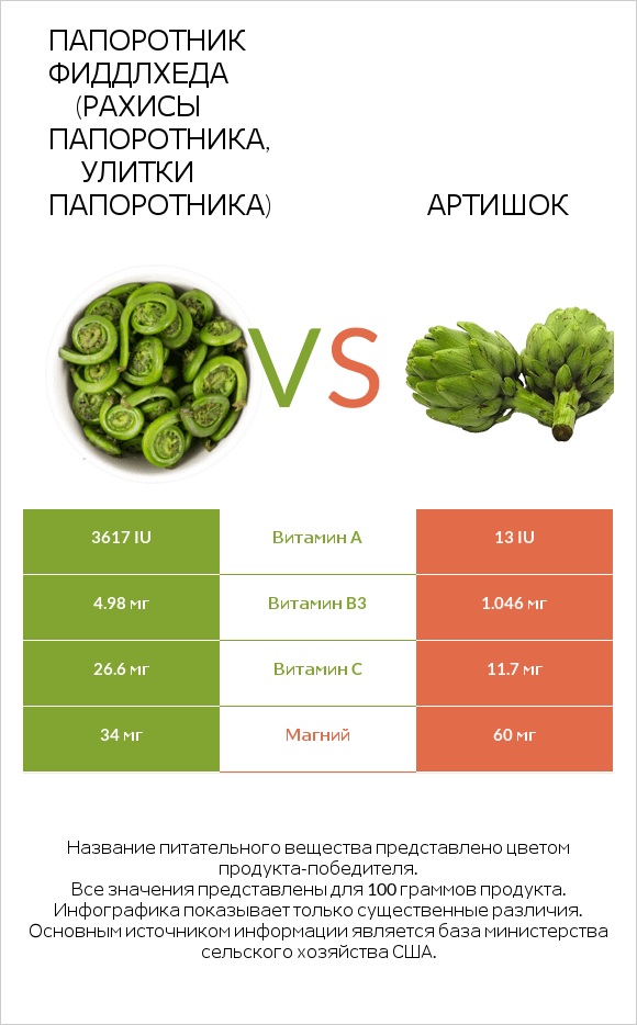 Папоротник Фиддлхеда (Рахисы папоротника, улитки папоротника) vs Артишок infographic