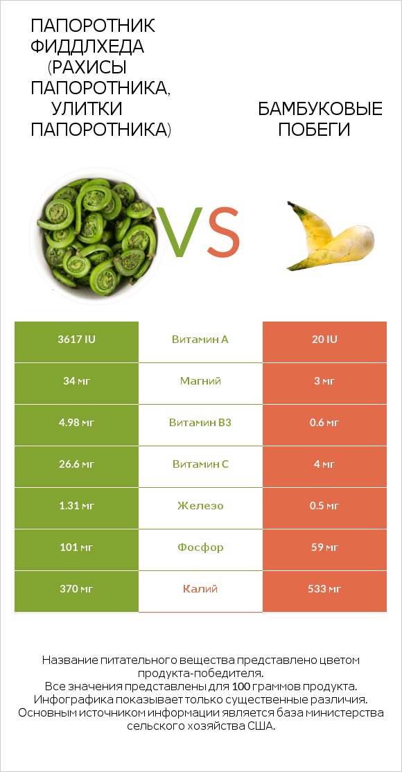 Fiddlehead ferns vs Бамбуковые побеги infographic