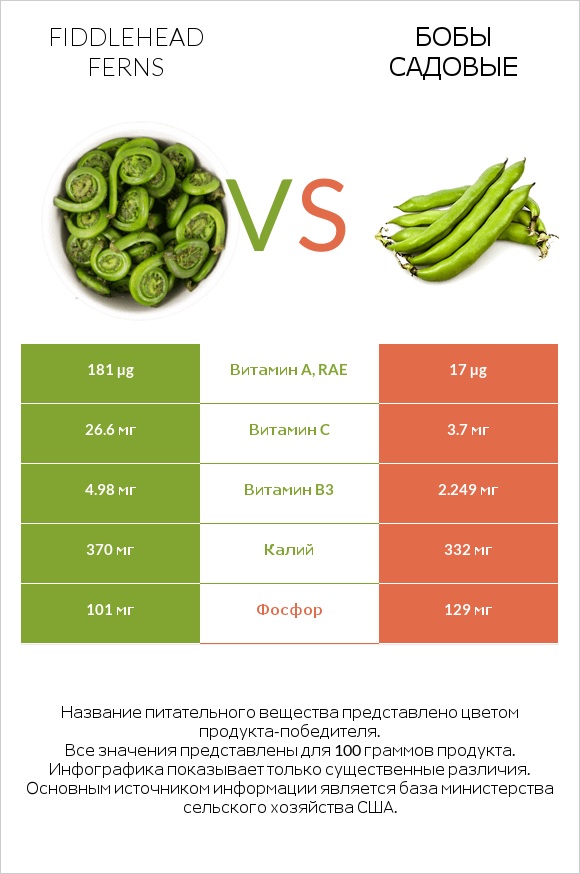 Fiddlehead ferns vs Бобы садовые infographic