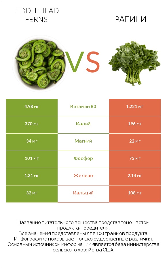 Fiddlehead ferns vs Рапини infographic